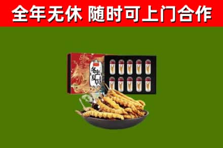 玉林回收冬虫夏草价格