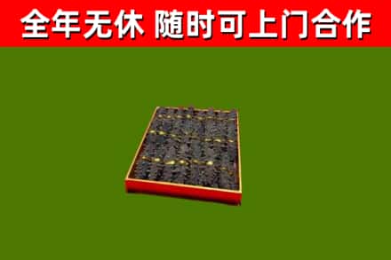 玉林回收海参